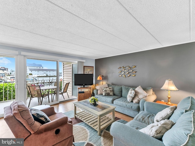 107 Convention Center Dr Unit 1410D, Ocean City, MD 21842 - living area featuring wood finished floors and a textured ceiling