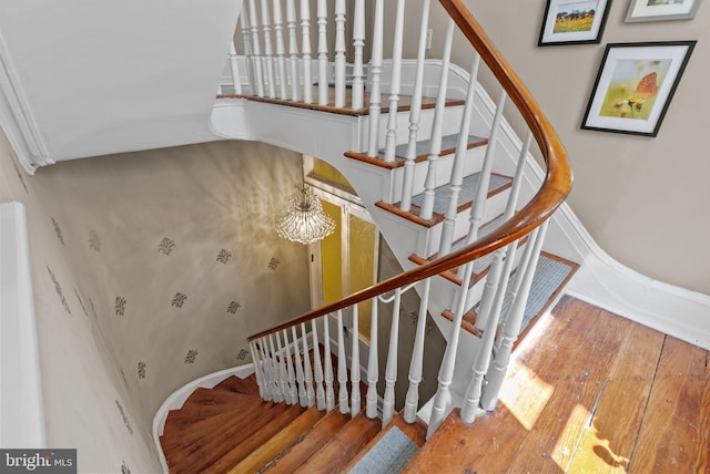 1518 Mount Vernon St Unit 3, Philadelphia, PA 19130 - stairway featuring hardwood / wood-style flooring