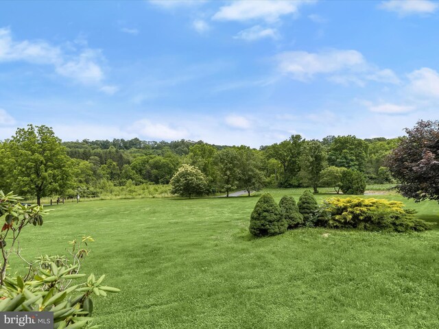 4704 Baughman Ml, Manchester, MD 21102 - view of green lawn