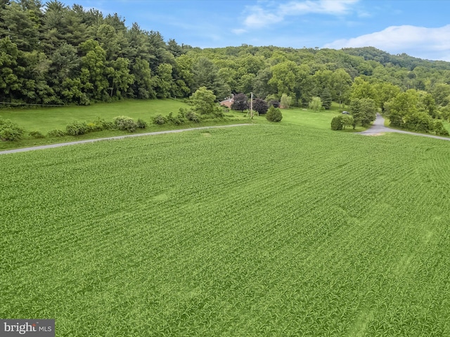 4704 Baughman Ml, Manchester, MD 21102 - view of grassy yard