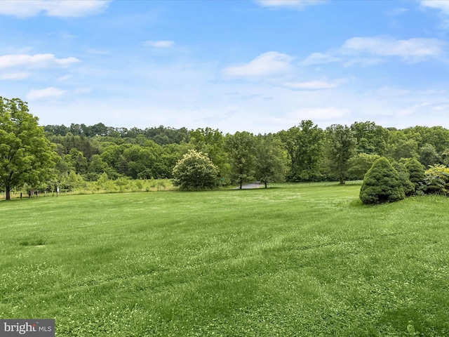 4704 Baughman Ml, Manchester, MD 21102 - view of green lawn