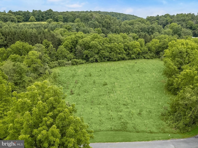 4704 Baughman Ml, Manchester, MD 21102 - aerial view of a forest