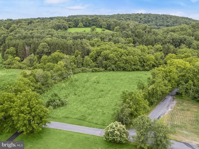 4704 Baughman Ml, Manchester, MD 21102 - drone / aerial view of a heavily wooded area