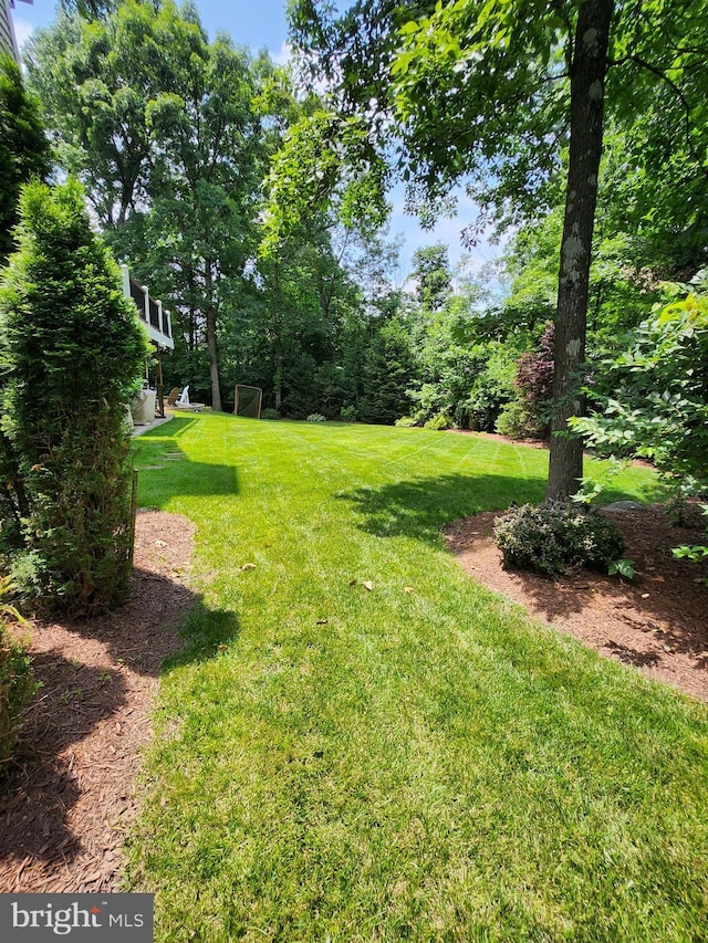 12024 Walnut Branch Rd, Reston, VA 20194 - view of yard