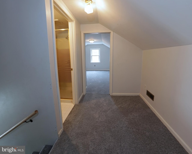 301 E Hanover St, Hanover, PA 17331 - bonus room featuring vaulted ceiling and carpet flooring