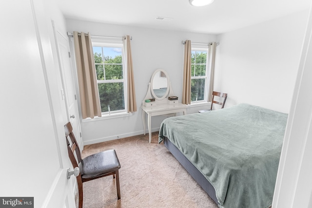 123 Hank Aaron Rd, Berkeley Springs, WV 25411 - carpeted bedroom featuring multiple windows