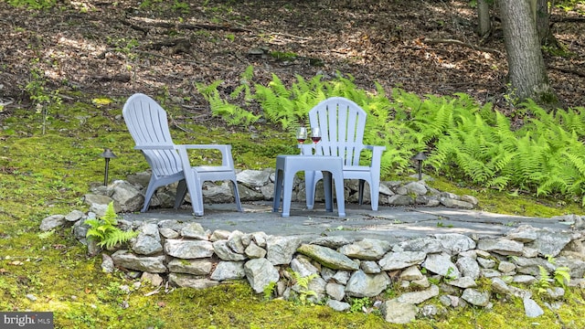 1043 Welsh Ayres Way, Downingtown, PA 19335 - view of patio / terrace