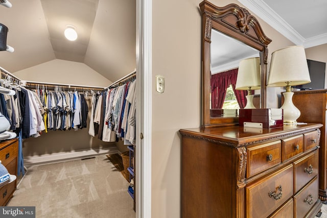 1043 Welsh Ayres Way, Downingtown, PA 19335 - walk in closet featuring light colored carpet and lofted ceiling