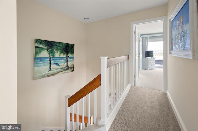 222 N Heron Dr Unit 222-1, Ocean City, MD 21842 - hallway featuring an upstairs landing and carpet floors
