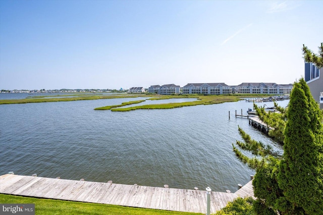 222 N Heron Dr Unit 222-1, Ocean City, MD 21842 - water view with a dock