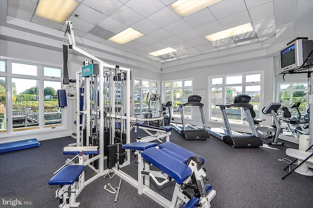 222 N Heron Dr Unit 222-1, Ocean City, MD 21842 - workout area with a drop ceiling