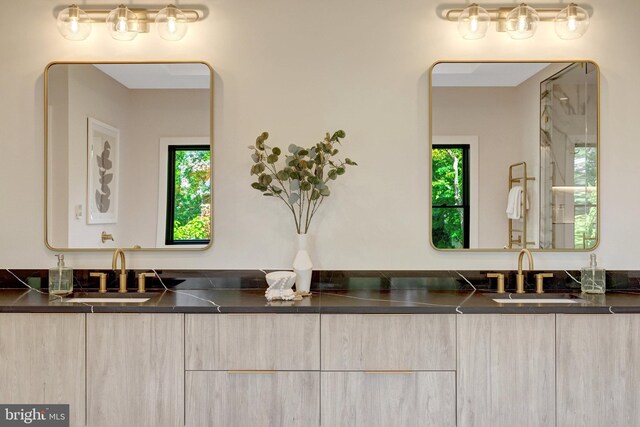1710 Fairview Ave, Mclean, VA 22101 - full bathroom with double vanity and healthy amount of natural light