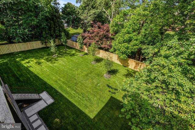 1710 Fairview Ave, Mclean, VA 22101 - view of fenced backyard