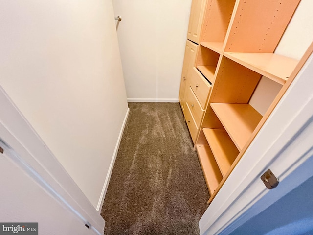 104 Falcon Ridge Way Unit Bldg10 Unit4, Hamburg, NJ 07419 - spacious closet featuring carpet floors
