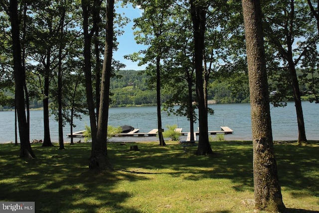 1140 Rock Lodge Rd, Mc Henry, MD 21541 - water view with a boat dock