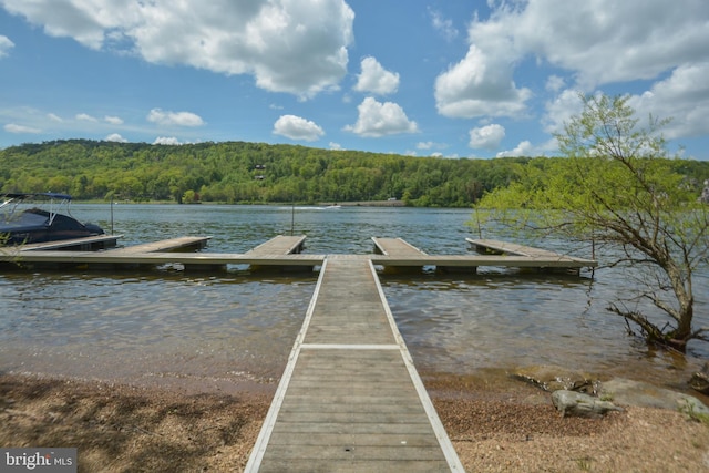 1140 Rock Lodge Rd, Mc Henry, MD 21541 - dock featuring a view of trees and a water view
