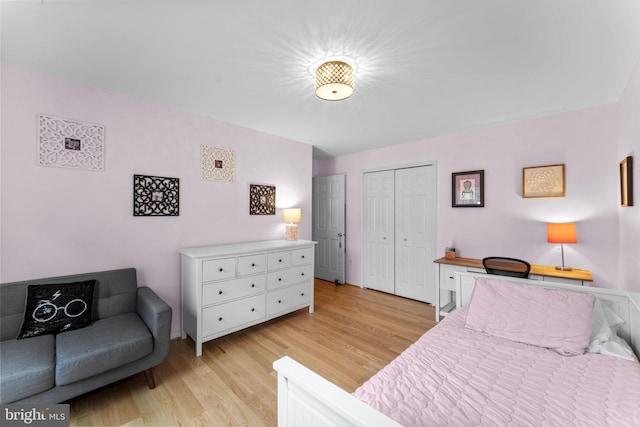 10034 Park Woods Ln, Burke, VA 22015 - bedroom with light wood-style floors and a closet