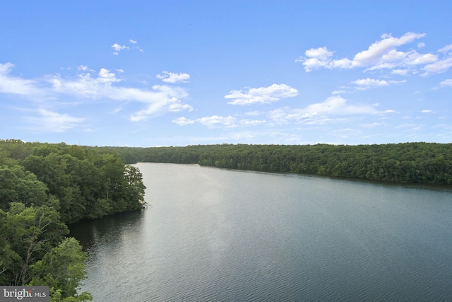 10034 Park Woods Ln, Burke, VA 22015 - water view with a heavily wooded area