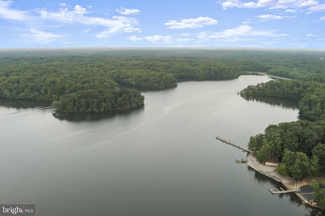 10034 Park Woods Ln, Burke, VA 22015 - aerial view of a forest and a large body of water