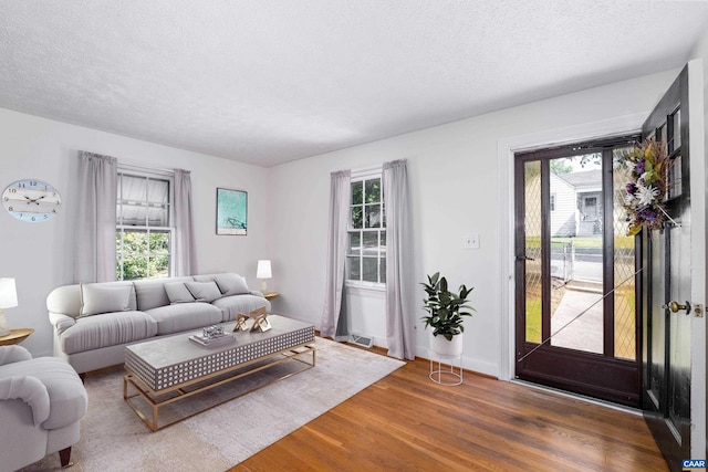 2504 Plateau Rd, Charlottesville, VA 22903 - living area featuring wood finished floors, plenty of natural light, and a textured ceiling