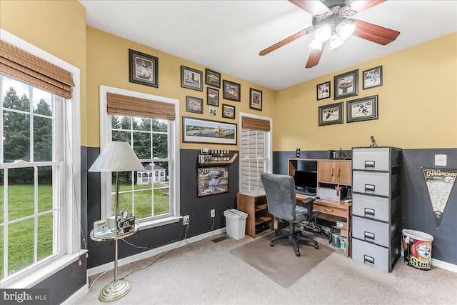 117 Woodrow Ln, Port Deposit, MD 21904 - office space featuring carpet flooring, healthy amount of natural light, and a ceiling fan