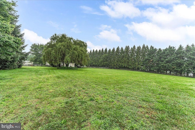 117 Woodrow Ln, Port Deposit, MD 21904 - view of yard