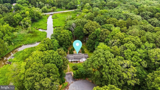 26140 High Banks Dr, Salisbury, MD 21801 - aerial view of a heavily wooded area