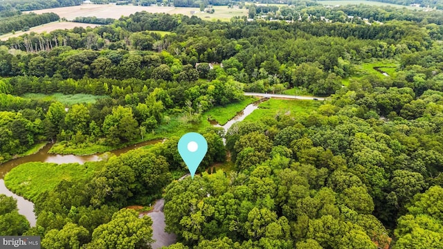 26140 High Banks Dr, Salisbury, MD 21801 - drone / aerial view of a heavily wooded area