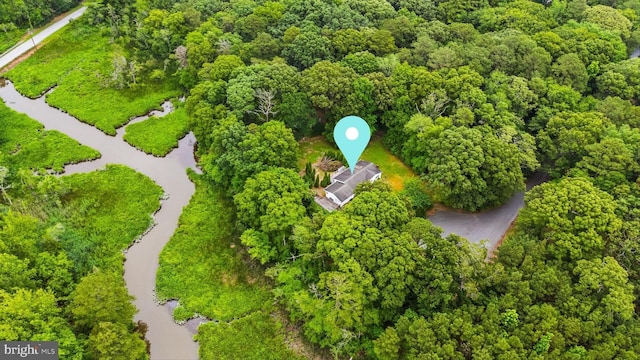 26140 High Banks Dr, Salisbury, MD 21801 - aerial view of a heavily wooded area