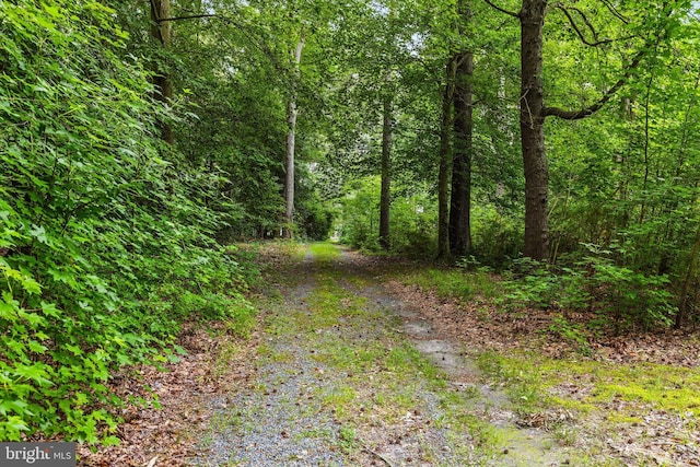 26140 High Banks Dr, Salisbury, MD 21801 - view of street with a wooded view