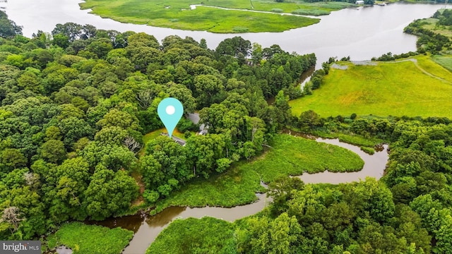 26140 High Banks Dr, Salisbury, MD 21801 - bird's eye view of a large body of water