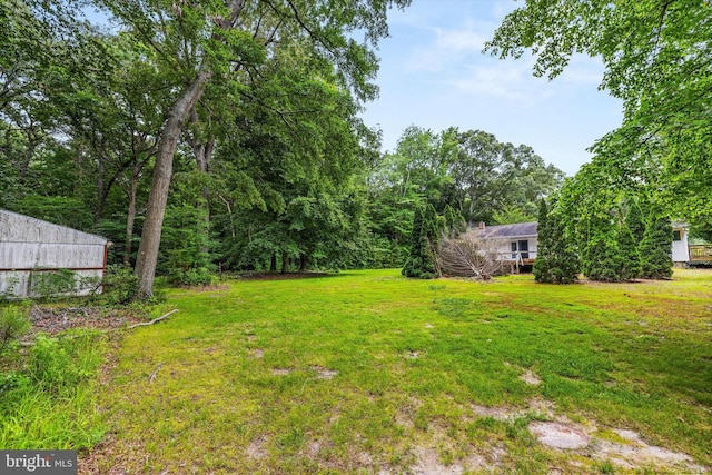 26140 High Banks Dr, Salisbury, MD 21801 - view of green lawn