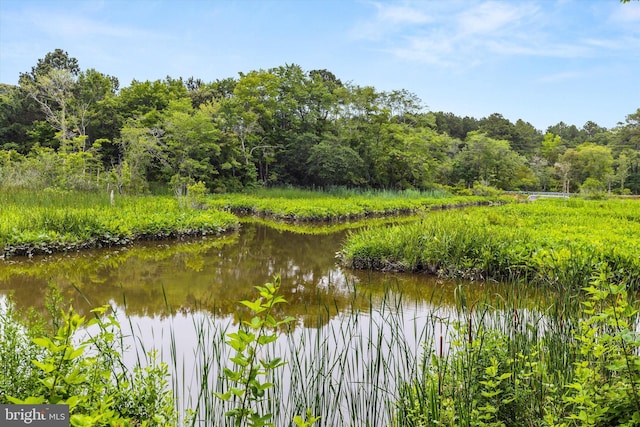 26140 High Banks Dr, Salisbury, MD 21801 - water view with a forest
