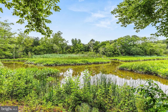 26140 High Banks Dr, Salisbury, MD 21801 - water view with a forest