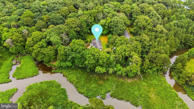 26140 High Banks Dr, Salisbury, MD 21801 - aerial view