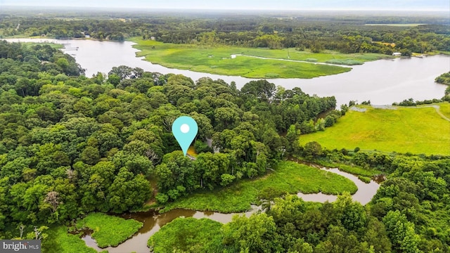 26140 High Banks Dr, Salisbury, MD 21801 - drone / aerial view of a large body of water and a forest