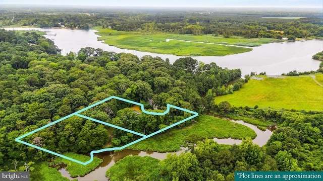 26140 High Banks Dr, Salisbury, MD 21801 - view of property location featuring a large body of water and property parcel outlined