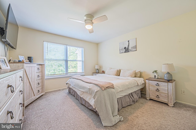 39 Allison Pl, Egg Harbor Township, NJ 08234 - bedroom with light colored carpet and a ceiling fan