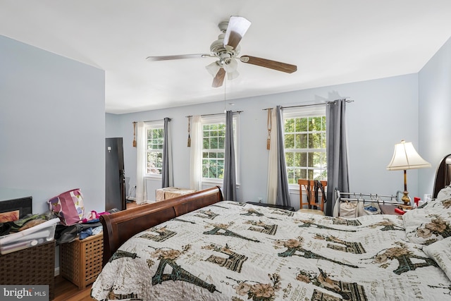 9126 Fisteris Ct, Springfield, VA 22152 - bedroom with multiple windows, wood finished floors, and a ceiling fan