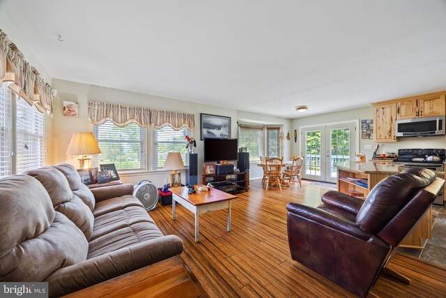 3341 Howellsville Rd, Front Royal, VA 22630 - living room with french doors and wood-type flooring