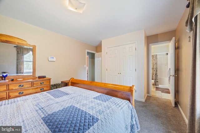 3341 Howellsville Rd, Front Royal, VA 22630 - bedroom featuring a closet, carpet floors, and ensuite bathroom