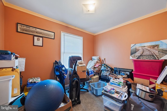 3341 Howellsville Rd, Front Royal, VA 22630 - office featuring ornamental molding and carpet floors
