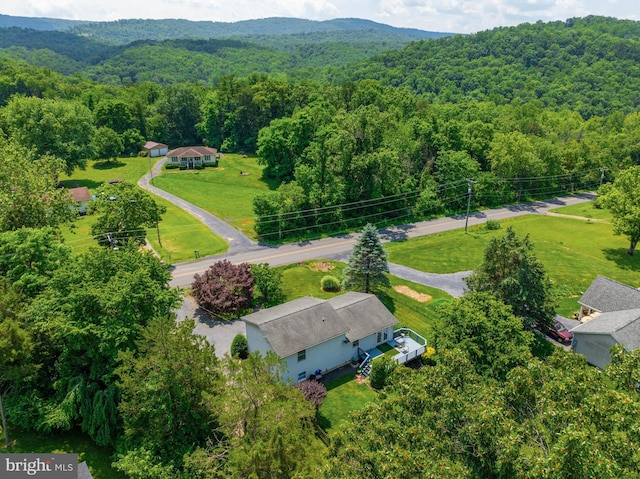 3341 Howellsville Rd, Front Royal, VA 22630 - drone / aerial view of a forest and a mountainous background