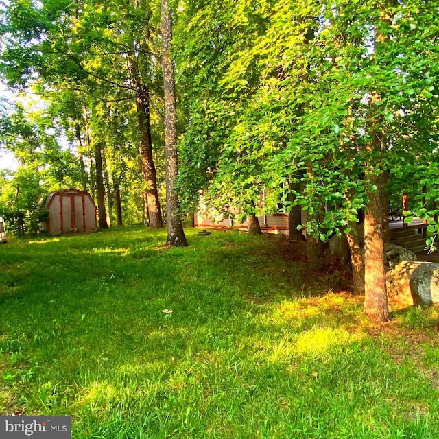 1074 White Pine Ln, Capon Bridge, WV 26711 - view of grassy yard with a storage unit