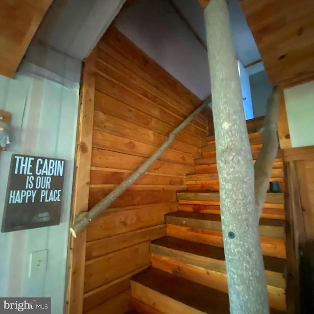 1074 White Pine Ln, Capon Bridge, WV 26711 - stairway featuring wooden walls