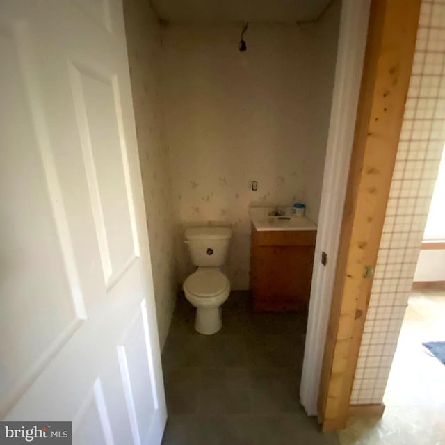 1074 White Pine Ln, Capon Bridge, WV 26711 - bathroom with vanity and toilet