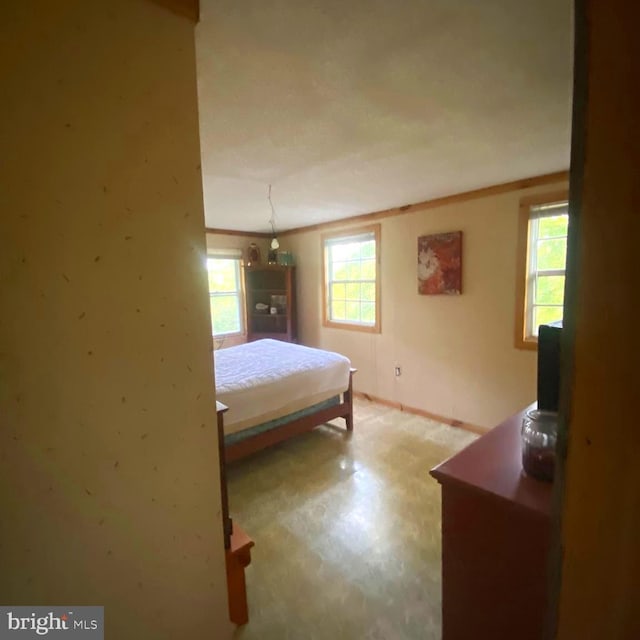 1074 White Pine Ln, Capon Bridge, WV 26711 - bedroom with multiple windows