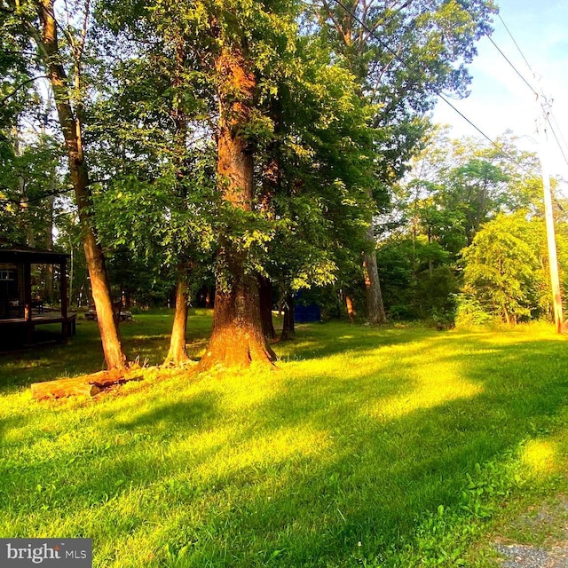 1074 White Pine Ln, Capon Bridge, WV 26711 - view of green lawn