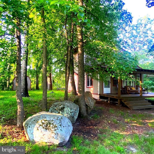 1074 White Pine Ln, Capon Bridge, WV 26711 - view of yard featuring a wooden deck