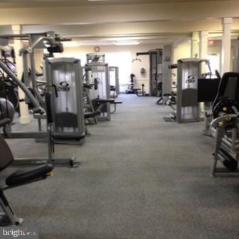 6541 Grange Ln Unit 401, Alexandria, VA 22315 - view of gym
